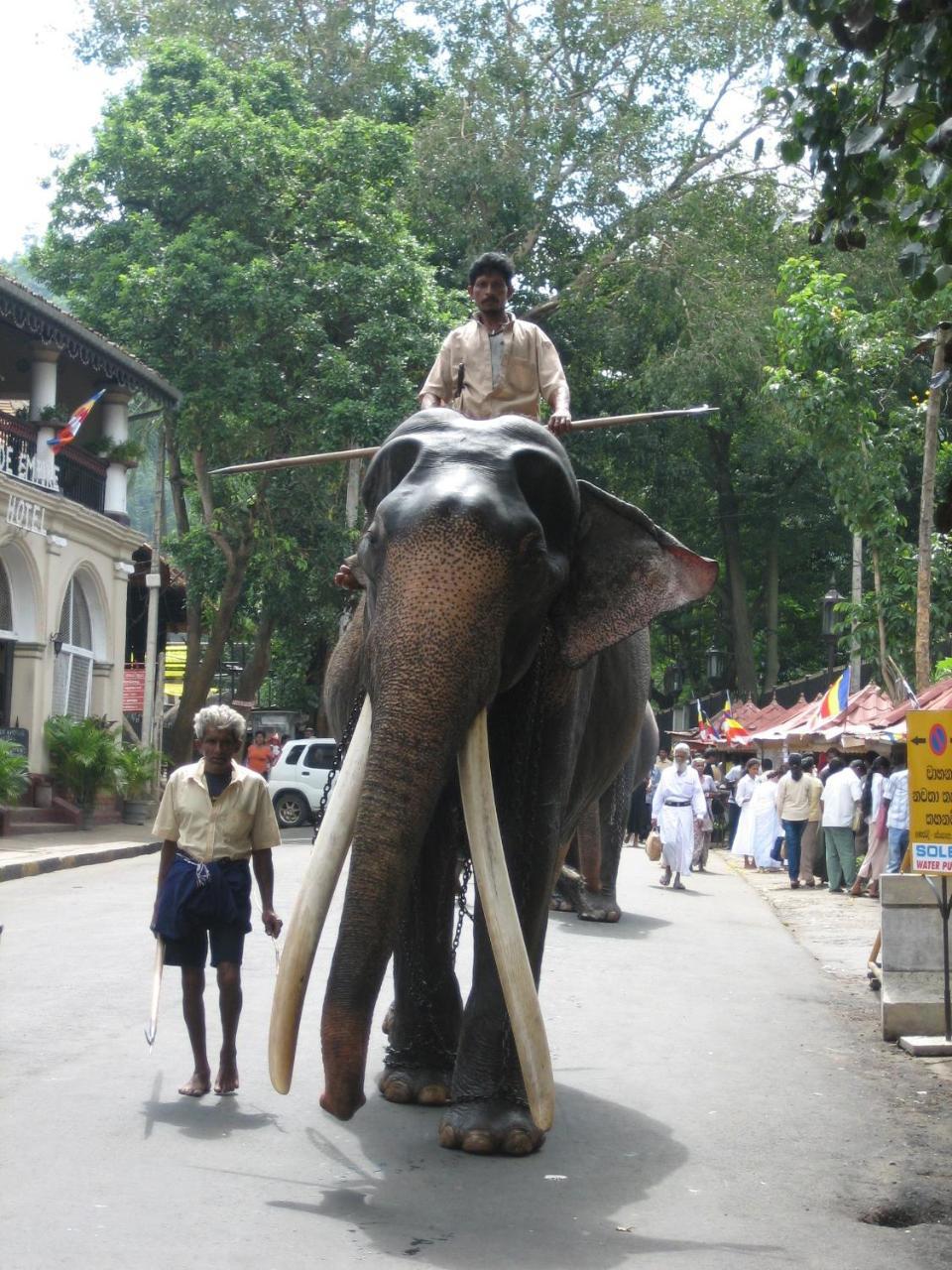 Le Grand Meaulnes Hotel ฮาบารานา ภายนอก รูปภาพ